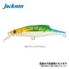 Jackson Pin Tail Sawara Tune - 35g